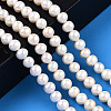 Natural Cultured Freshwater Pearl Beads Strands PEAR-N016-06B-3