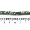 Natural Green Spot Jasper Beads Strands G-G873-A03-01-4