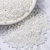 MIYUKI Round Rocailles Beads SEED-G008-RR0420-1