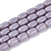 Opaque Glass Beads Strands GLAA-T028-14P-A04-1