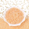 FGB Glass Seed Beads SEED-Q040-08A-06-2