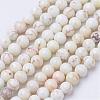 Natural Magnesite Bead Strands G-P286-10-3mm-1