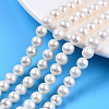 Natural Cultured Freshwater Pearl Beads Strands PEAR-N016-06A-1