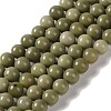 Natural Alashan Agate Beads Strands G-P530-B05-02-1