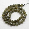 Natural Gemstone Labradorite Faceted Round Bead Strands G-O021-14mm-01-1