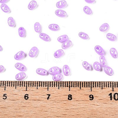 Opaque Colours Luster Glass Seed Beads SEED-T006-02D-1