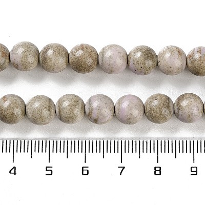 Natural Rainbow Alashan Agate Beads Strands G-NH0022-A09-02-1