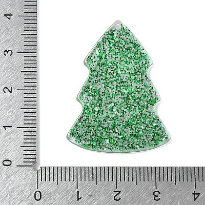 Acrylic Cabochons LS-OACR-I023-02C-1