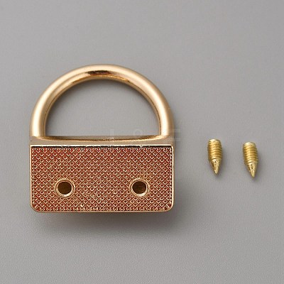 Alloy Bag Buckles FIND-WH20007-10KCG-1