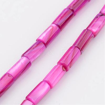 Natural Shell Bead Strands BSHE-P016-09-1