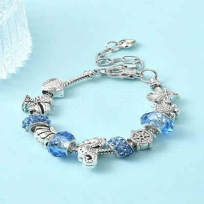DIY Eurpean Bracelet Making Kit DIY-YW0007-89-1