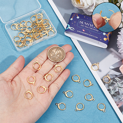50Pcs Brass Leverback Earring Findings KK-SC0004-22G-1