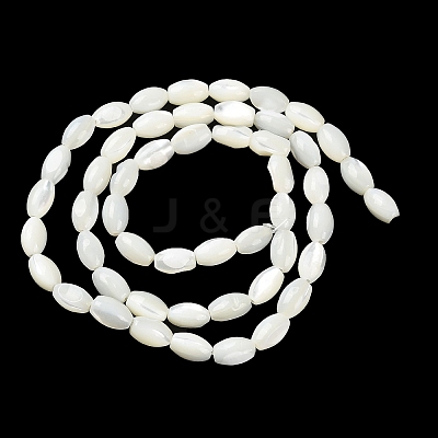 Natural Trochus Shell Beads Strands BSHE-E030-02C-1