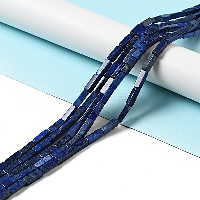 Natural Lapis Lazuli Beads Strands X-G-I326-04-1