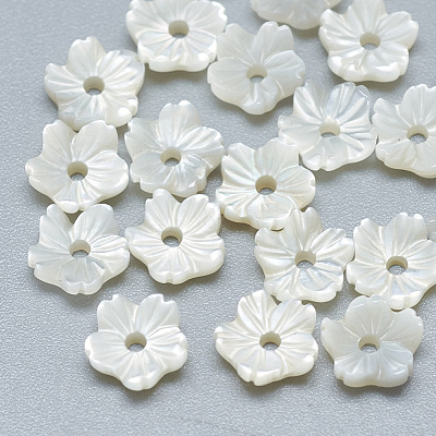 Natural White Shell Beads SSHEL-S260-011-1