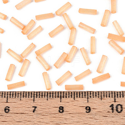 Glass Bugle Beads X-SEED-N007-28L-1