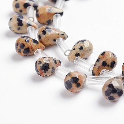 Natural Dalmatian Jasper Beads Strands G-J360-08-1