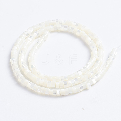 Natural Trochid Shell/Trochus Shell Beads Strands X-SSHEL-L016-13A-1