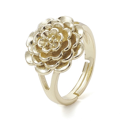 Rack Plating Brass Adjustable Rings RJEW-K257-13G-1