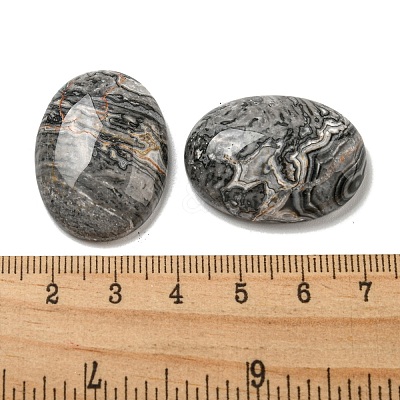 Natural Map Stone Cabochons G-C115-01B-48-1