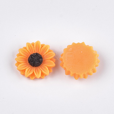 Resin Cabochons X-CRES-T010-60B-1