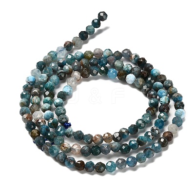 Natural Apatite Beads Strands G-RM2025-36-3mm-1