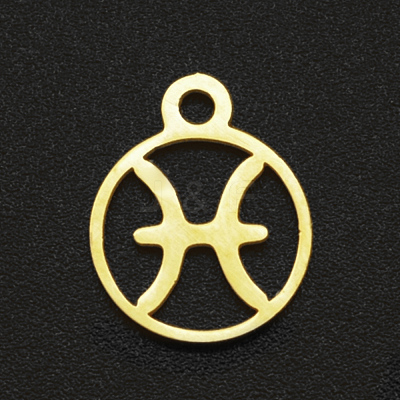 201 Stainless Steel Charms STAS-T014-LA111-12-1