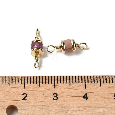 Natural Mixed Gemstone Connector Charms KK-P242-26G-1