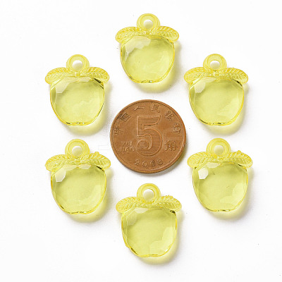 Transparent Acrylic Pendants TACR-S154-28B-85-1