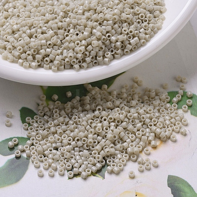 MIYUKI Delica Beads X-SEED-J020-DB0261-1