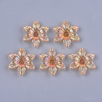 Transparent Acrylic Bead Caps TACR-T007-06-1