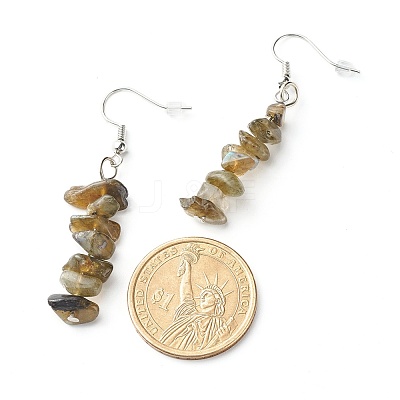 Natural Labradorite Chip Beads Dangle Earrings EJEW-JE04649-07-1
