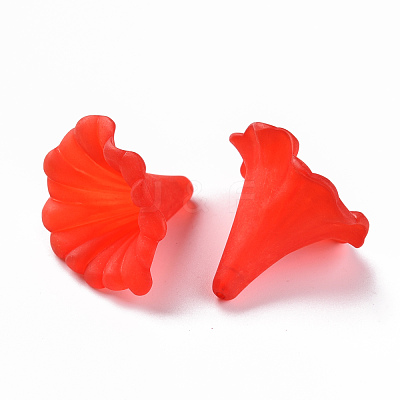 Transparent Acrylic Beads BSF796M-1