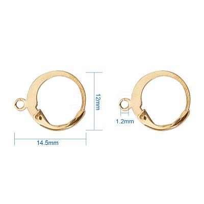 304 Stainless Steel Leverback Earring Findings X-STAS-G081-62G-1