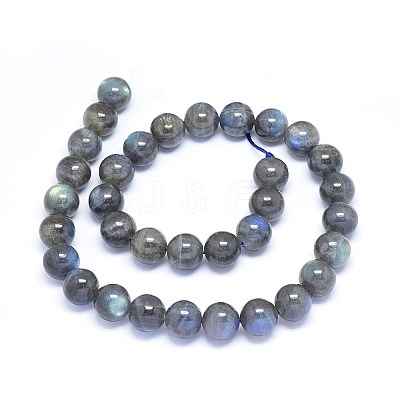 Natural Labradorite Beads Strands G-F602-04-10mm-1