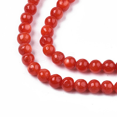 Natural Freshwater Shell Beads Strands SHEL-N003-24-B05-1