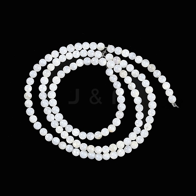 Natural Cultured Freshwater Shell Beads Strands BSHE-H109-03A-1