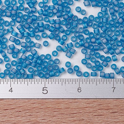 MIYUKI Delica Beads X-SEED-J020-DB0862-1