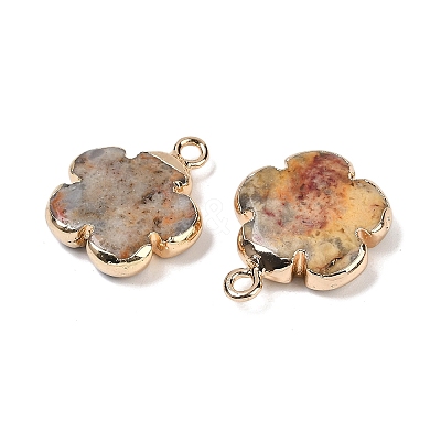 Natural Crazy Agate Pendants G-P566-01G-05-1