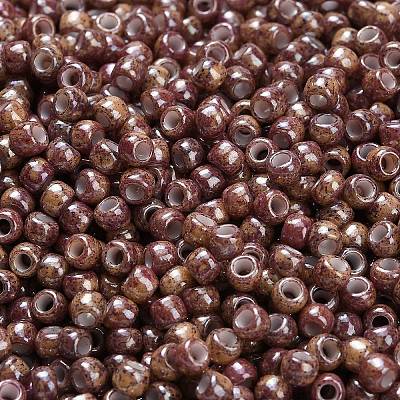 TOHO 6/0 Round Beads SEED-XTR06-1203-1