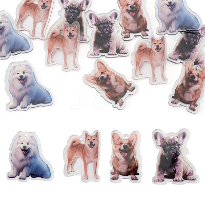 12Pcs 4 Styles Printed Acrylic Pendants OACR-TA0004-14B-1