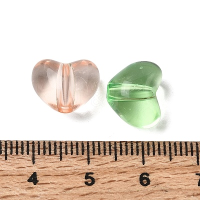 Transparent Acrylic Beads TACR-C002-01G-1