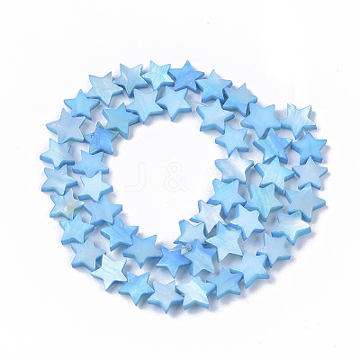 Freshwater Shell Beads Strands X-SHEL-T014-009B-1