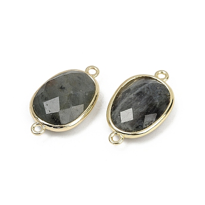 Natural Labradorite Faceted Connector Charms G-K347-11G-06-1