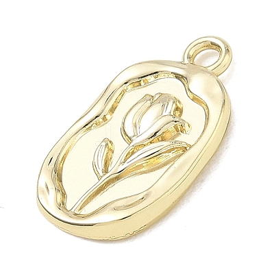 Alloy Pendants AL-CBA7C55-10B-G-1