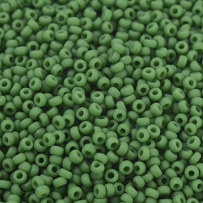 MIYUKI Round Rocailles Beads SEED-G007-RR0411F-1