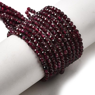 Natural Garnet Beads Strands G-I341-09B-01-1