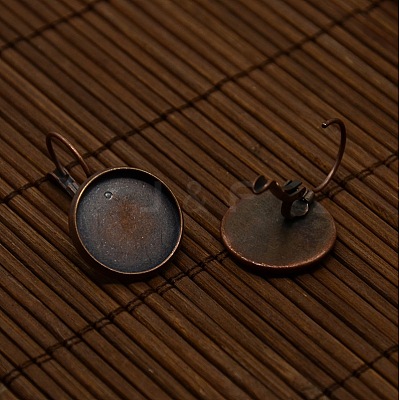 Clear Domed Glass Cabochon Cover and Brass Leverback Earring Settings for DIY DIY-X0160-R-NR-1