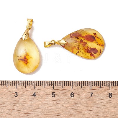 Natural Amber Pendants PALLOY-JF05260-01-1