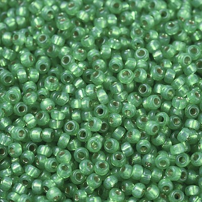 MIYUKI Round Rocailles Beads X-SEED-G007-RR0646-1